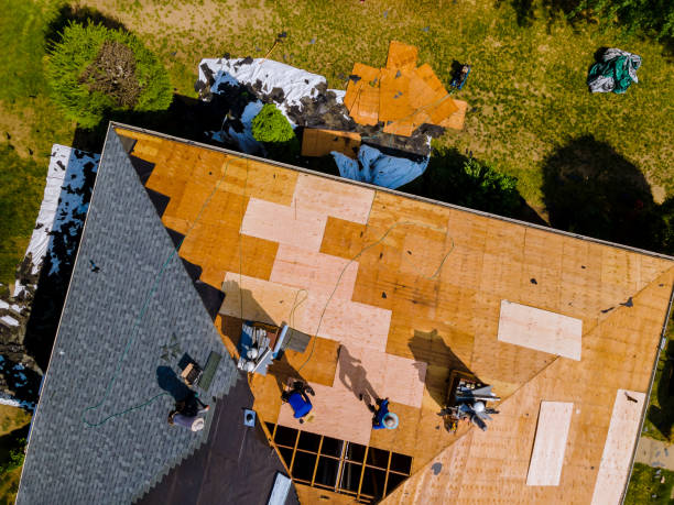 Best Roof Restoration Services  in Eastwood, MI