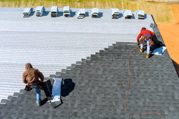 Best Roof Gutter Cleaning  in Eastwood, MI