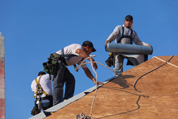 Quick and Trustworthy Emergency Roof Repair Services in Eastwood, MI