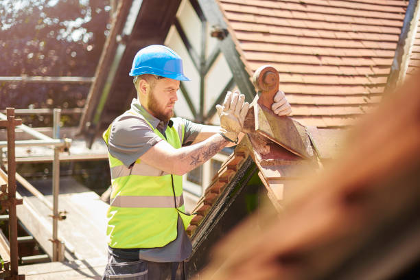 Best Roof Repair Specialists  in Eastwood, MI