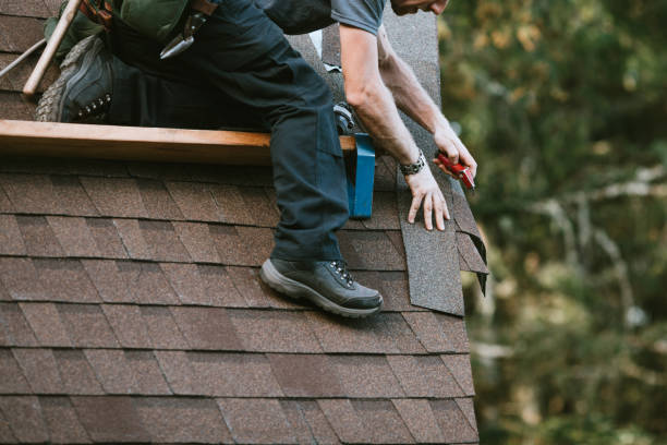 Best Gutter Installation and Roofing  in Eastwood, MI